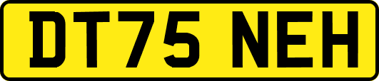 DT75NEH