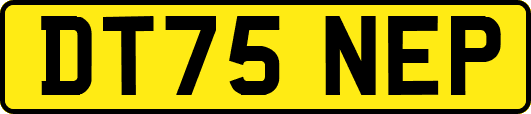 DT75NEP
