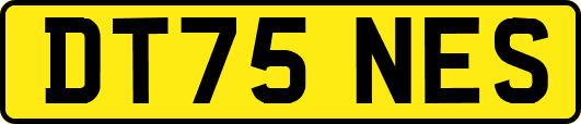 DT75NES