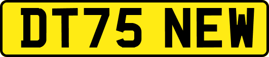 DT75NEW