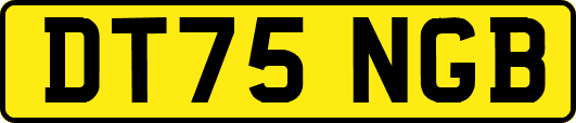 DT75NGB