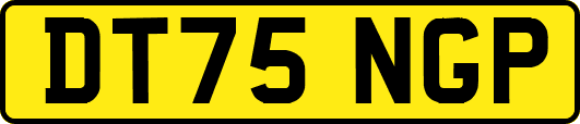 DT75NGP