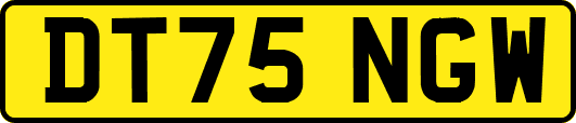 DT75NGW