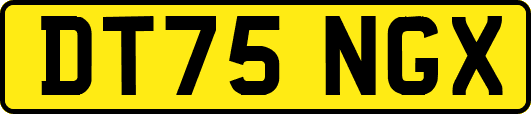 DT75NGX