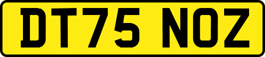 DT75NOZ