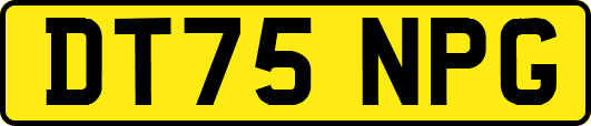 DT75NPG