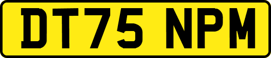 DT75NPM