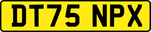 DT75NPX
