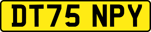 DT75NPY