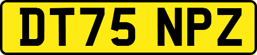 DT75NPZ