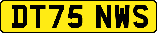 DT75NWS
