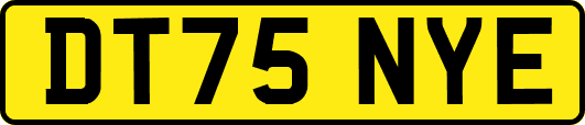 DT75NYE