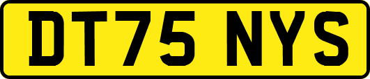 DT75NYS