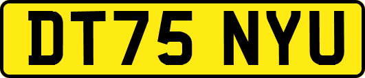 DT75NYU
