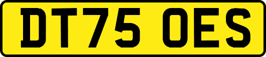 DT75OES