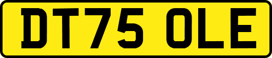 DT75OLE