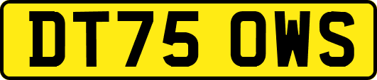 DT75OWS