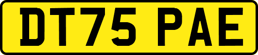 DT75PAE