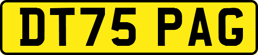 DT75PAG