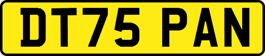DT75PAN