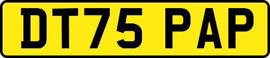 DT75PAP