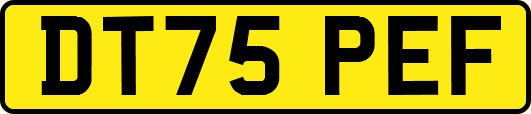 DT75PEF