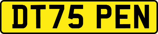 DT75PEN