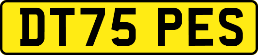 DT75PES