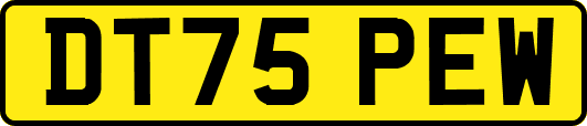 DT75PEW