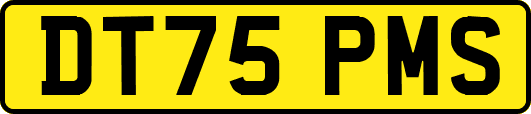 DT75PMS