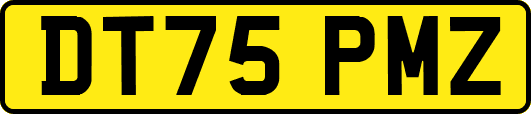 DT75PMZ