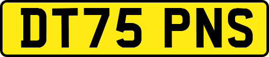 DT75PNS