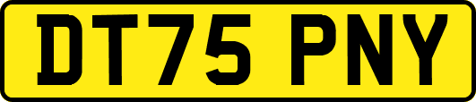 DT75PNY