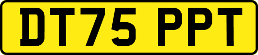 DT75PPT