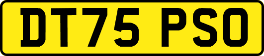 DT75PSO
