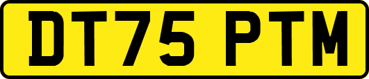 DT75PTM