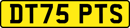 DT75PTS