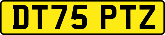 DT75PTZ