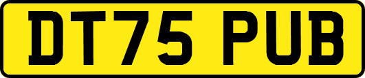 DT75PUB