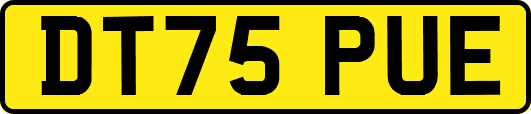 DT75PUE
