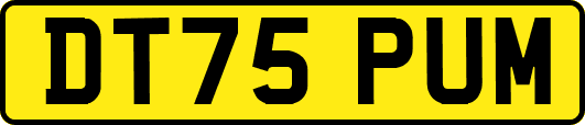DT75PUM