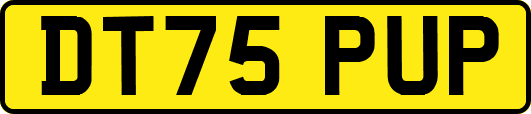 DT75PUP