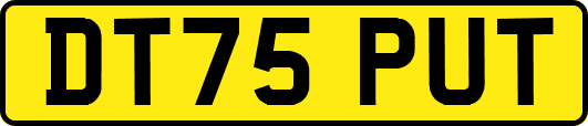 DT75PUT