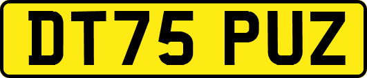 DT75PUZ