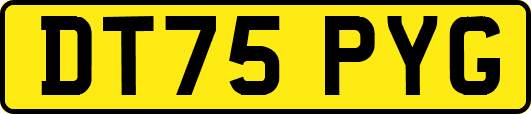 DT75PYG