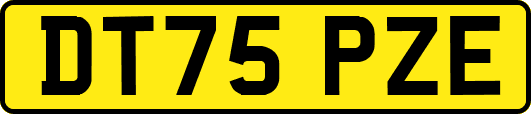 DT75PZE