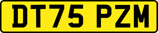 DT75PZM