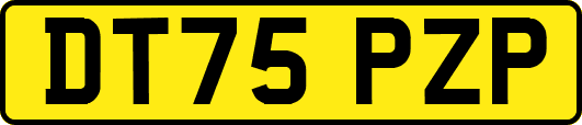 DT75PZP