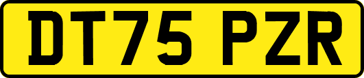 DT75PZR