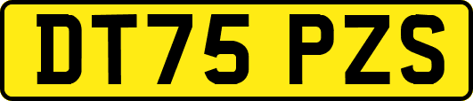 DT75PZS